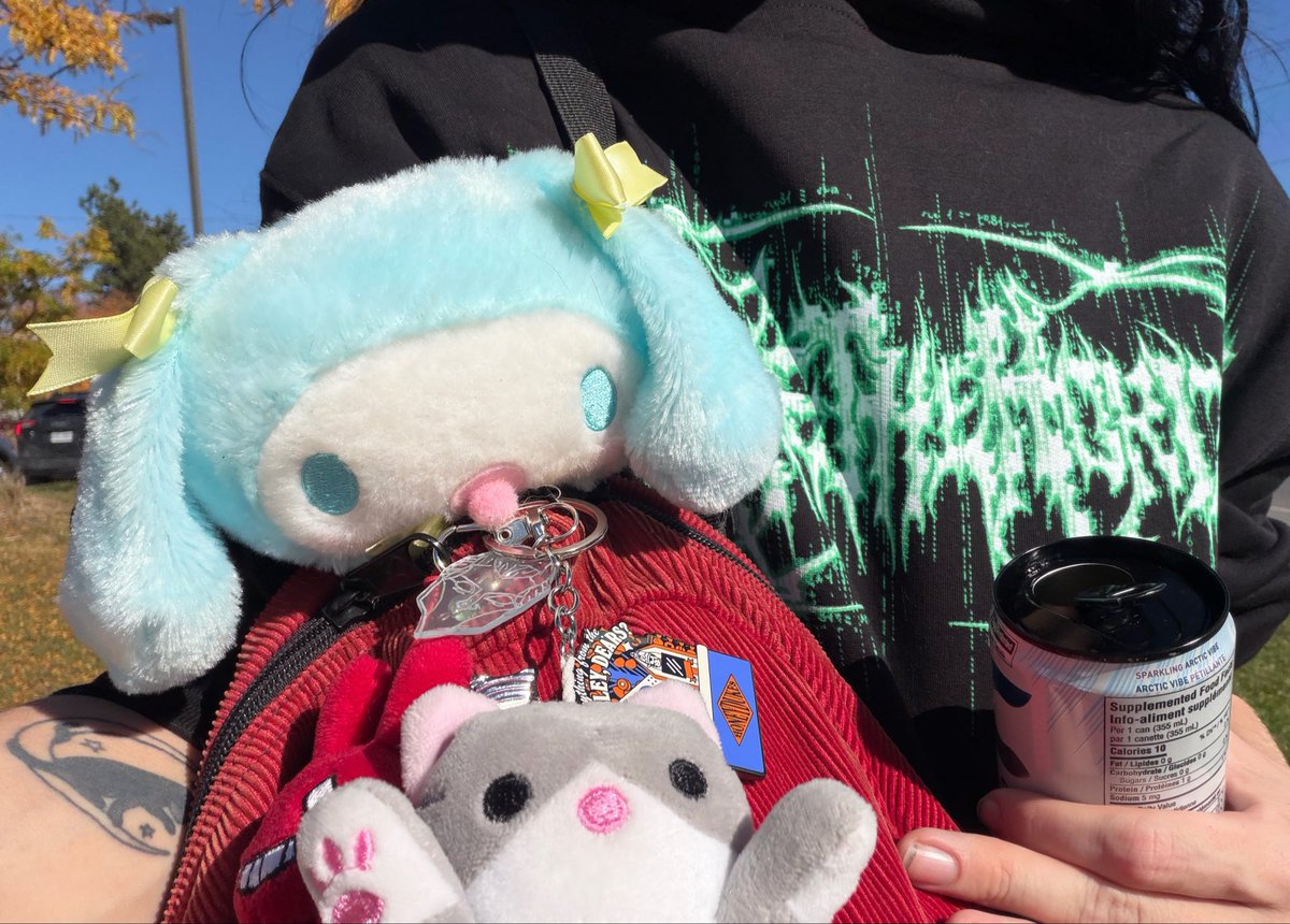 GothMothCutie's tweet photo. Guys this is Baby Cinnamorolls first real adventure. Tell hims about all the amazing things he will see!! 

BE NICE! He baby. ・ω・ https://t.co/q9iW1xPmth