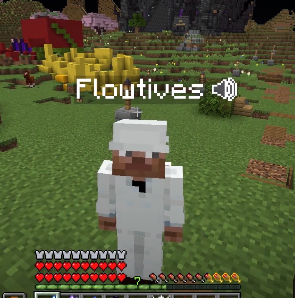 soumnium_'s tweet photo. // lifesteal spoilers

they got scared that flow logged on and then hes just naked at spawn, broke, homeless, no gear, no echest and talking in his baby voice 😭 https://t.co/KfoPRbMPd5