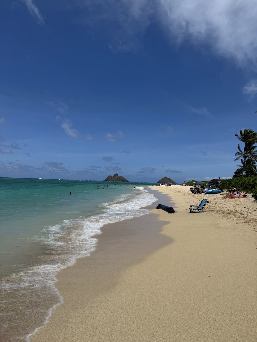 Lsav762's tweet photo. alright betas i wanna go back to hawaii. make it happen😏 https://t.co/rO6igCd3IN