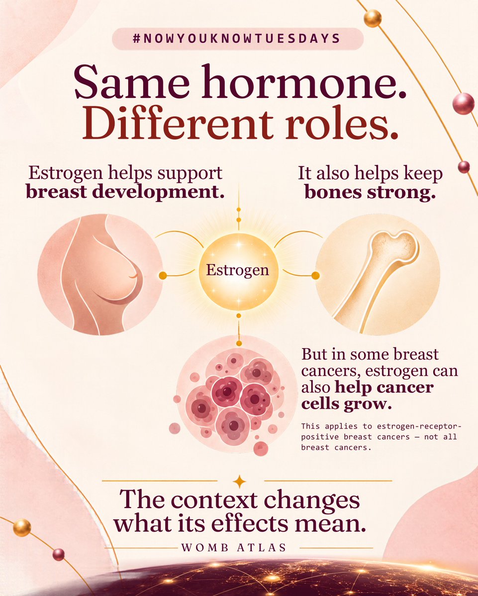 wombatlas's tweet photo. Breasts and bones—what’s the connection? 👀
Meet #NowYouKnowTuesdays by Womb Atlas.
This #BreastCancerAwarenessMonth, we’re exploring estrogen’s different roles.
A little discovery. A bigger picture. https://t.co/V9Gidjtssf