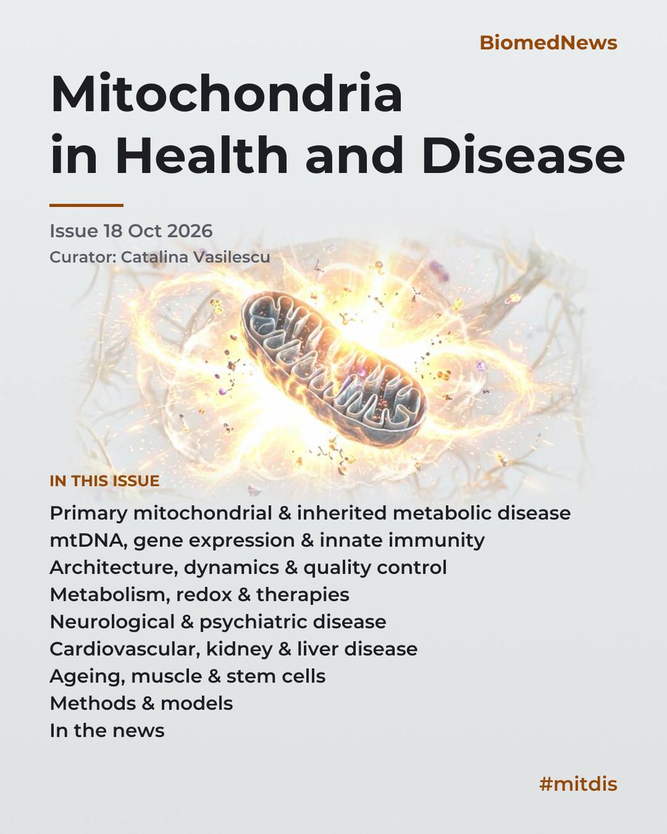 _CVasilescu's tweet photo. The new edition of @Bims_BiomedNews  Mitochondria in Health and Disease is finally here! 

Full edition online: https://t.co/UJJSPOAa1x  

A few highlights below 👇As always, we thank to @gavinmcstay2, @mitoscientist, @mitoworld_org and all mitoscientists! https://t.co/aQeLXWONSZ