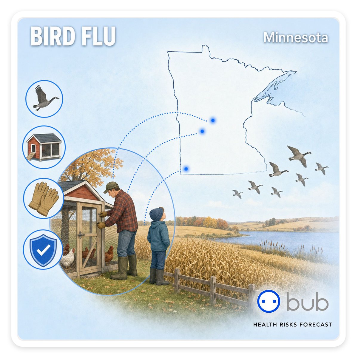 HubbubWorld's tweet photo. 🤧 Bird flu risk is elevated around Jackson County in southwest Minnesota, where a backyard flock was confirmed October 7 – the same week turkey farms in Stearns and Kandiyohi counties were hit.
Outbreaks tend to climb as migrating ducks and geese stop over on the state's lakes. https://t.co/tfYtZFvvb5