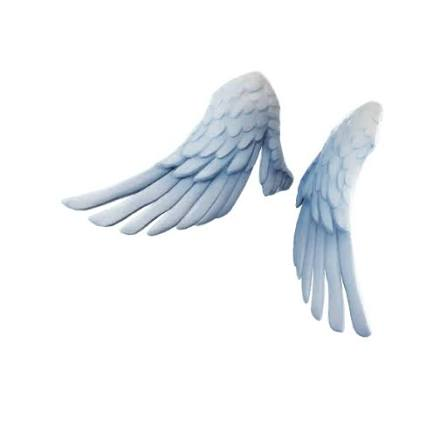 Gee_7556 tweet picture