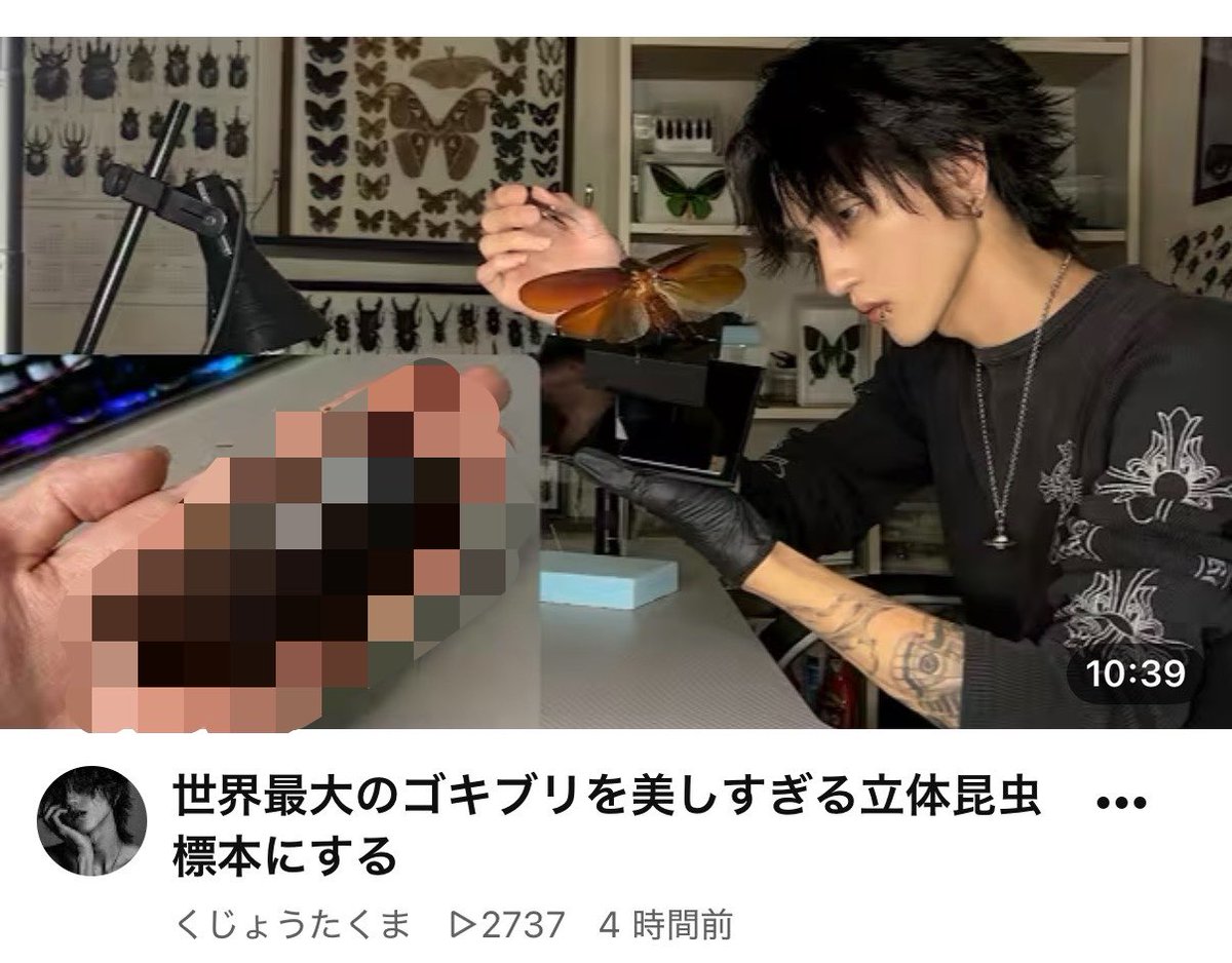 tennensui_sb's tweet photo. なんかとんでもないイケメンがYouTube出てきたのに、内容がゴキブリを標本にするで再生出来ずにいる。 https://t.co/qMZRfxYm0x