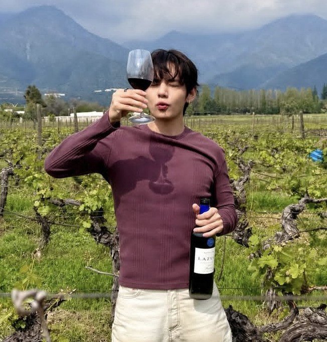 vhopebot's tweet photo. 🍷 https://t.co/pVeKVJiCCO