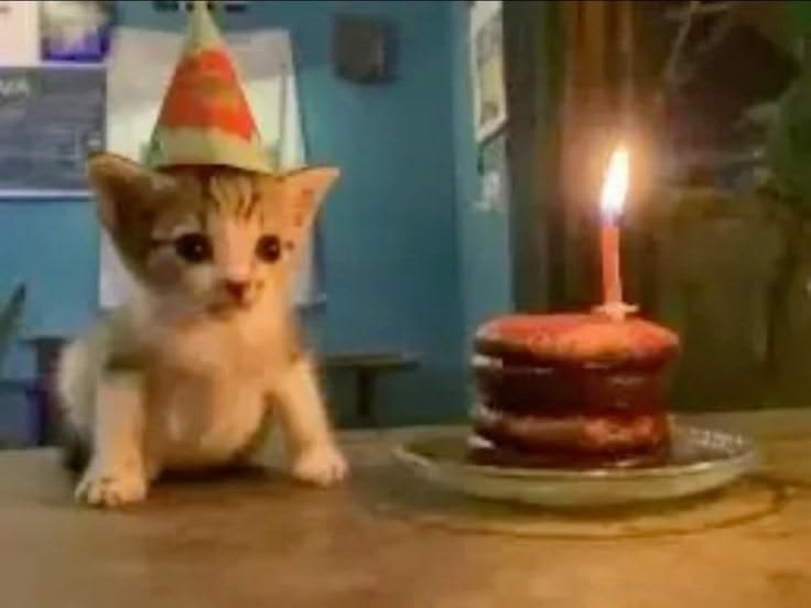 York0Bell's tweet photo. @TolaiMurcey feli feli feliz cumpleaños Tolai 🎉🎉 https://t.co/sUhtcq5UQc