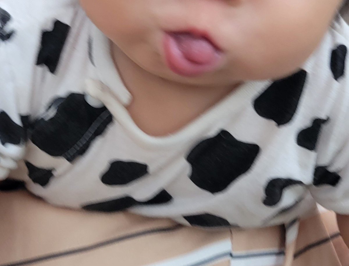 00_0134's tweet photo. 歯が生えてて気持ち悪いのか最近ずーっとこれしてて笑える https://t.co/zuXefJZbpe