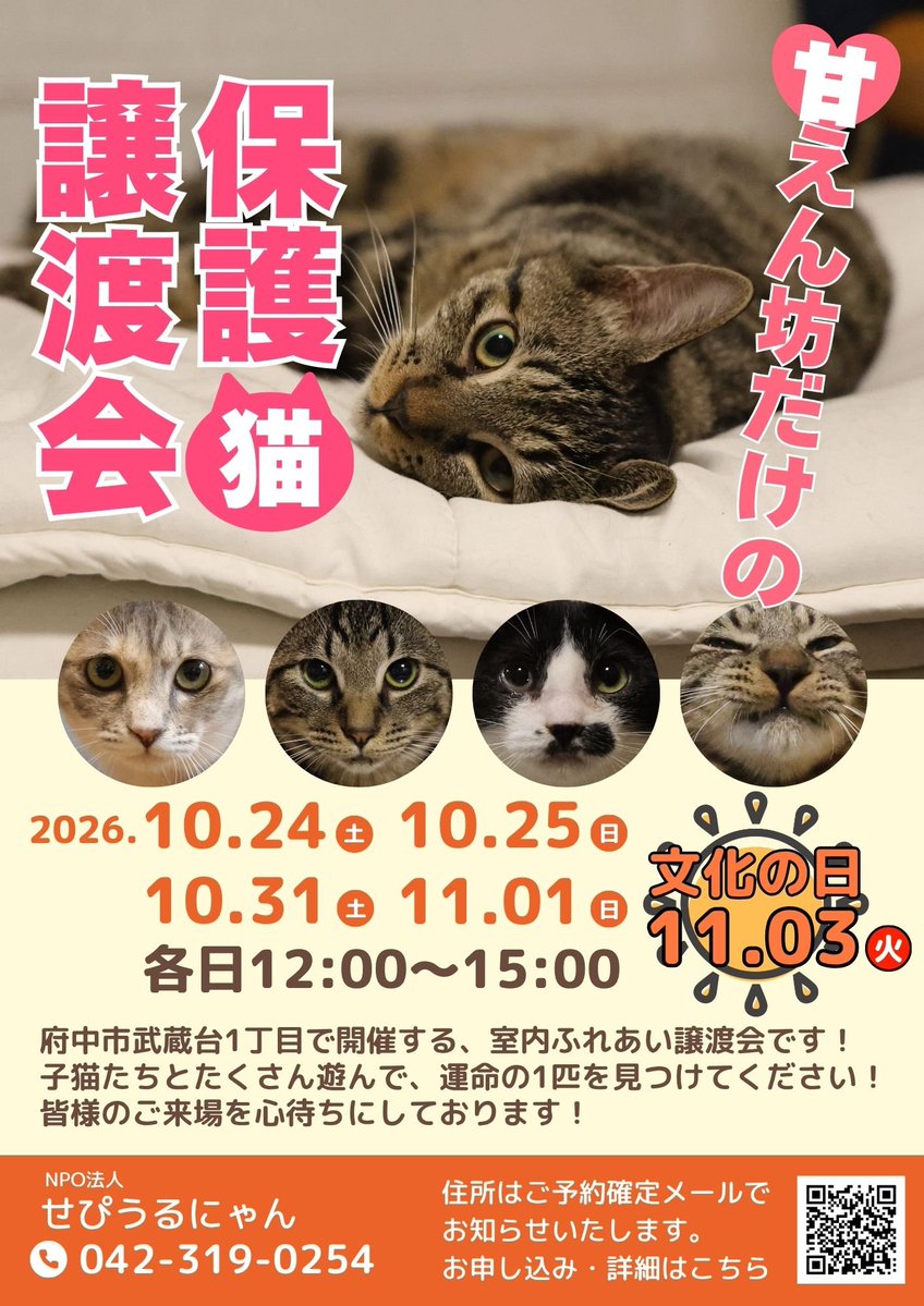 watanabekeno2's tweet photo. 東京都府中市で土日祝にふれあい譲渡会を開催します❣️

たくさん撫でて遊んで、運命の1匹が見つかればと思っています🐱

6ヶ月の子猫5匹が参加予定です🍀

https://t.co/58Ep74l169
↑こちらからお申し込みください��
(ご希望の日付けは備考欄にお願いします。)

どうぞ宜しくお願い致します。 https://t.co/4BvFApFQns