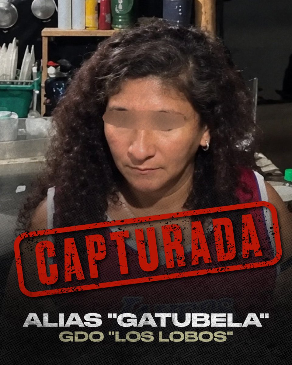 DefensaEc's tweet photo. 🚨 ¡“NI LAS CRIMINALES SE ESCAPAN”: BLOQUE DE SEGURIDAD ATRAPA A ALIAS “GATUBELA”!

➡️ Ana Guadalupe G., alias “Gatubela”, fue aprehendida durante una operación militar en Puerto Quito, señalada por su presunta vinculación con el GAO “Los Lobos”. https://t.co/szb1wNXvva