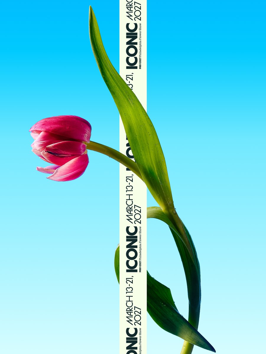 mikesmith187's tweet photo. 🌸 NEW WORK FOR THE PHS PHILADELPHIA FLOWER SHOW 🌸

Earlier this year Pennsylvania Horticultural Society (PHS) approached us to help come up with the identity and key visuals for their 2027 flower show. It was called ICONIC so we knew we wanted the flowers to feel monumental. We tapped local photographer Bre Furlong (https://t.co/X2TKjFNyg3) to shoot 18 beautifully unique florals in stunning detail. These beauties are gonna look incredible on banners and billboards all over Philadelphia this winter.