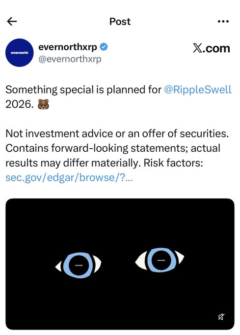 UnPlugged_XRP's tweet photo. Feeling FUZZY.....real frickn FUZZY 😉🐻 fuzzybear:native https://t.co/dpKjTlGwg3