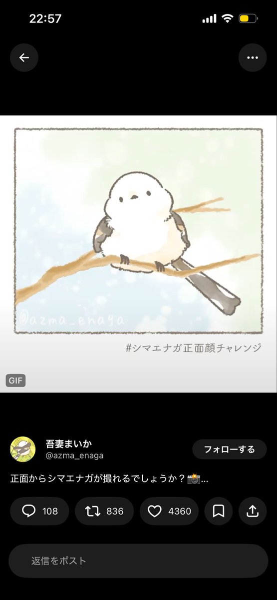 pika_Fianoru's tweet photo. ちょこん( • ▴ • ) https://t.co/DLks5unSpa