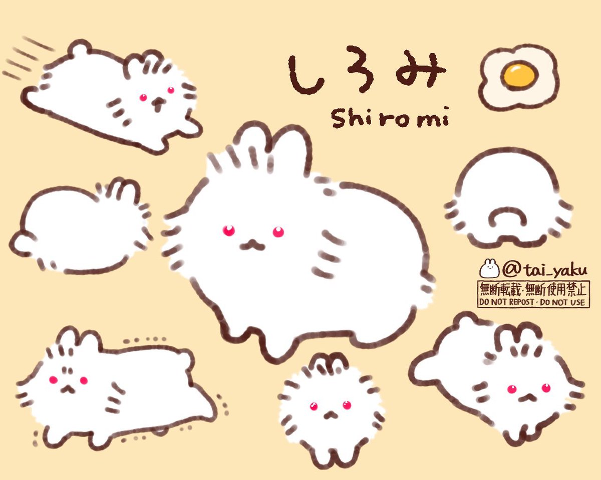 tai_yaku's tweet photo. 我が家の新しいﾒﾝﾊﾞｰ、白いふわふわの子うさぎを「しろみ」と呼ぶことにしました！🍳
ライオンヘッドの男の子！現在710g！ https://t.co/Cu5Ne9ZPSb