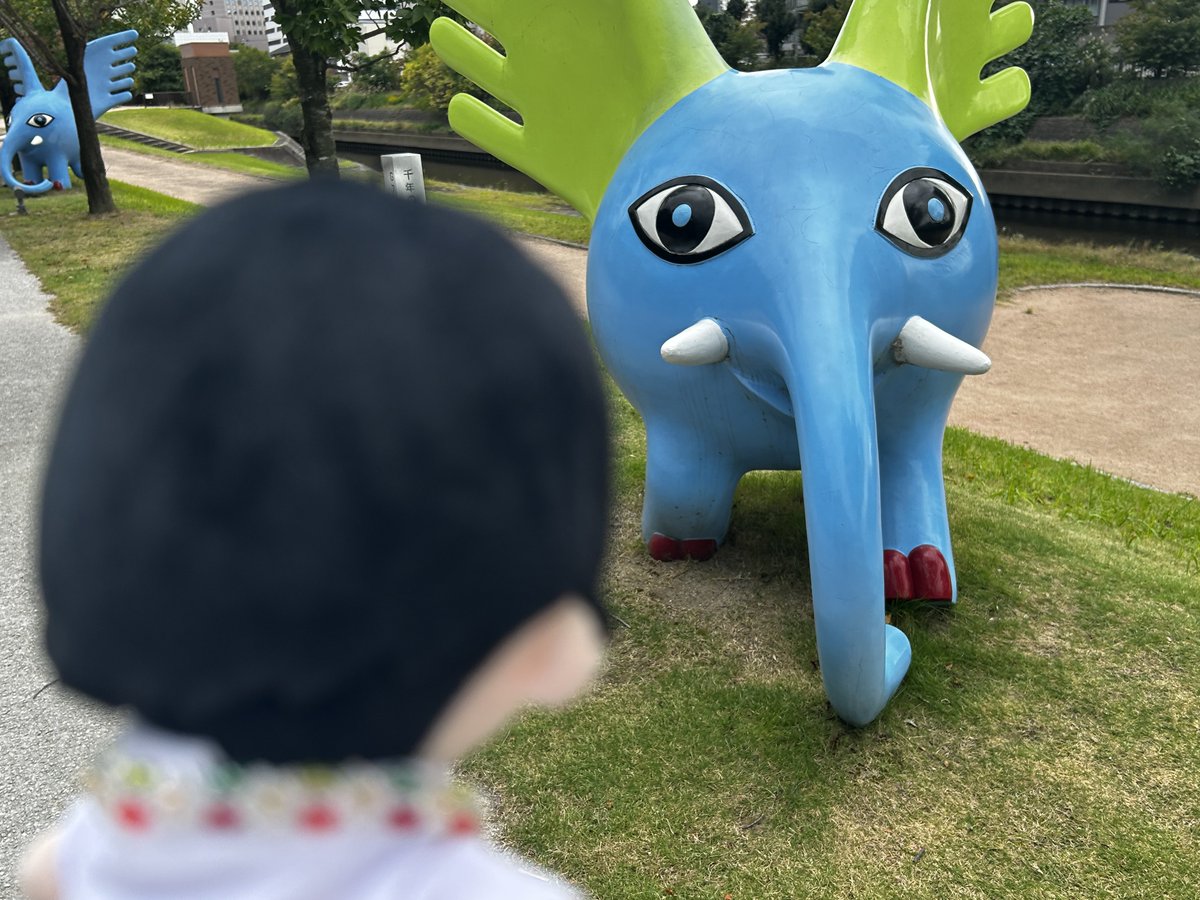 loop_the_loop_y's tweet photo. 🐘🪽🌿 https://t.co/PMDSjr8zX3