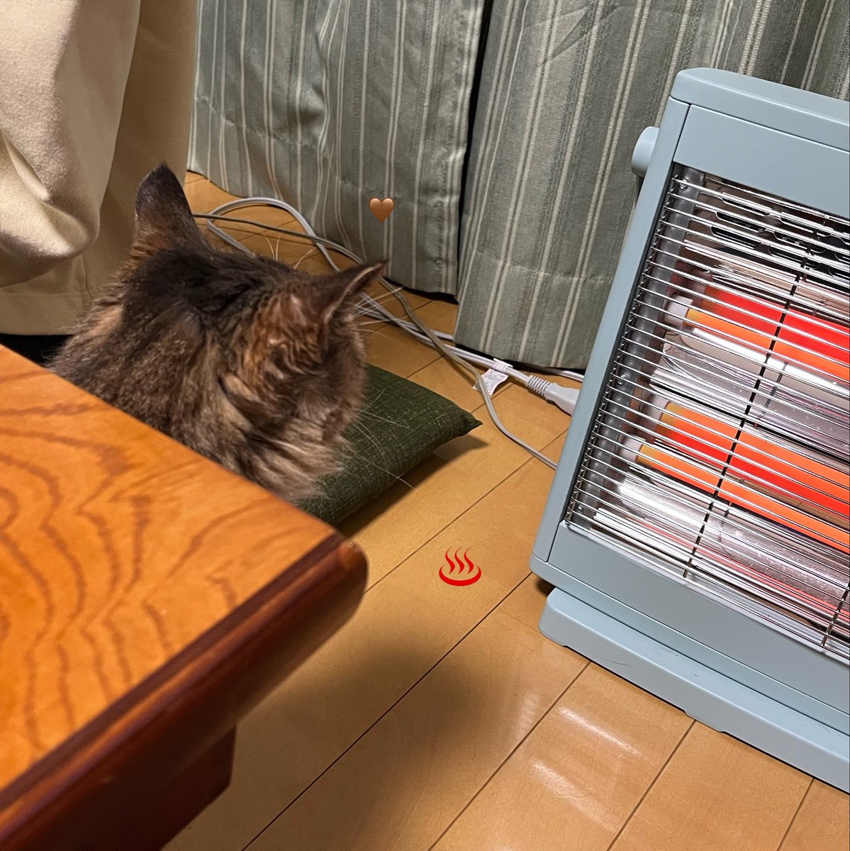 eofa8314's tweet photo. うちのねこ様です🐈‍⬛🐈
#超フィバ推し
#超フィバエピ https://t.co/LkIoJ5ot66