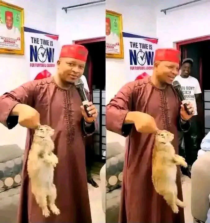 Minikothe3rd's tweet photo. Kano State House of Assembly has summoned Yusuf Bello-Aliyu of Nasarawa Constituency over a viral video allegedly showing him holding rabbit ears and making inappropriate comments for a lawmaker. 

The matter was referred to the House Ethics Committee. 

The uncouth and uncultured dishonorable should be dealt with.