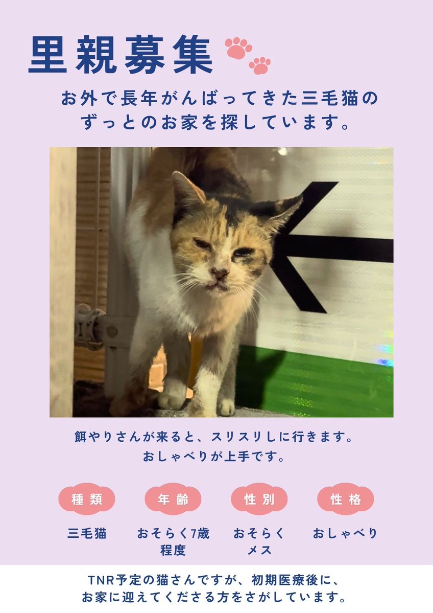 vincent088's tweet photo. @antidote_19xx ありがとう…
人なれはしていて、甘えん坊だと思われます。
顔は治療と拭き取りできれいになると思う。 https://t.co/kBTviY9hKU