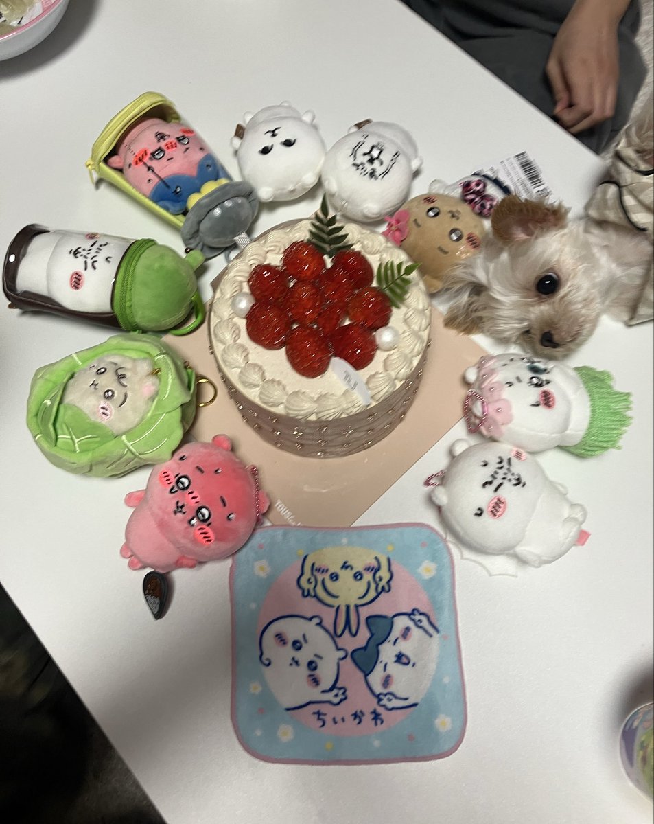 green_beean's tweet photo. 친구들 인형 인증샷 찍는데 인형 없었음 https://t.co/2pDe7wNyXK