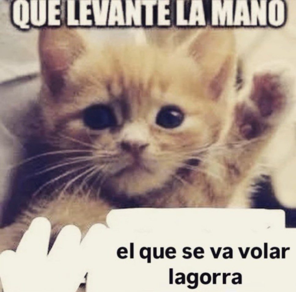 _curox's tweet photo. a los cuantos semestres de psicología enpieso a entenderme https://t.co/p6JSY5l1nN