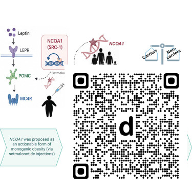 CellRepMed's tweet photo. Online now: Human genetic evidence challenges NCOA1 as a monogenic obesity gene dlvr.​it/TW00Yh https://t.co/jUvSUG0t6b