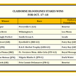 Photo by Claiborne Farm Bloodlines (@ClaiborneBlood)