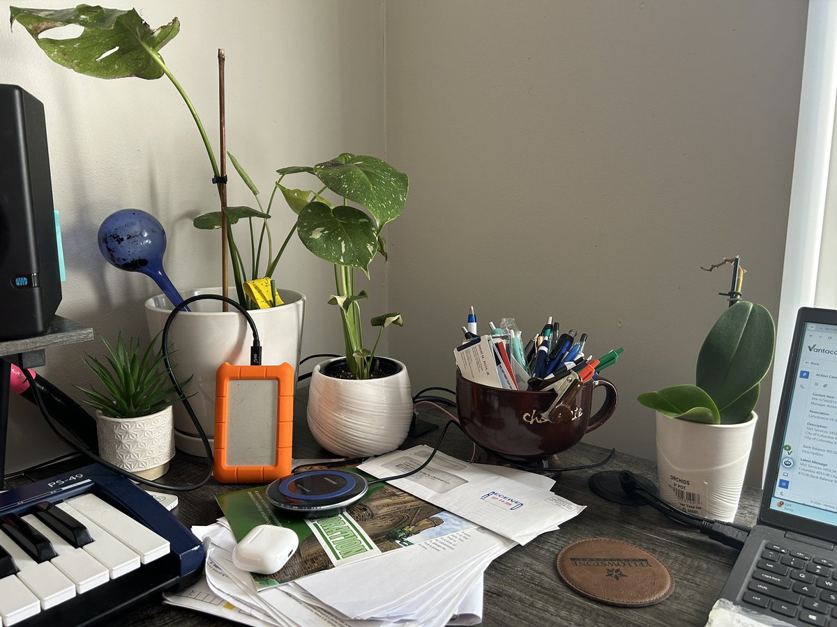 DBASSLINE's tweet photo. My little work corner #plantlife #iloveplants https://t.co/Hyaz3COaTz