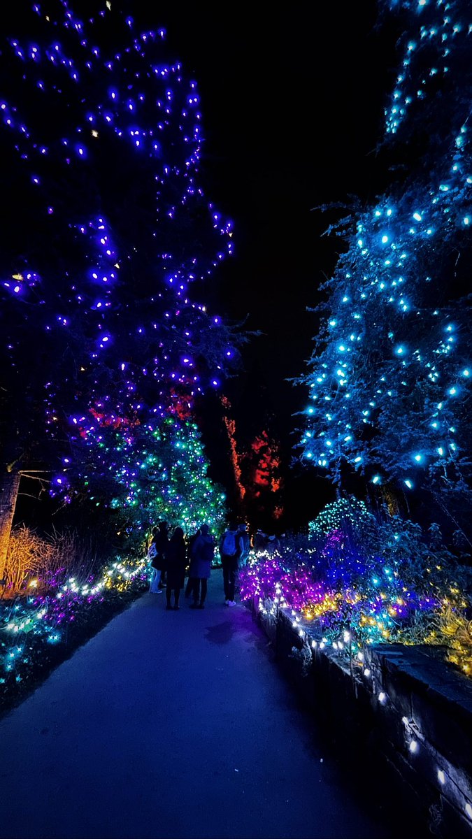 Aditiverma63's tweet photo. Lost in a forest of lights. 🌌
#EnchantingNights https://t.co/KyjNvLhHYz