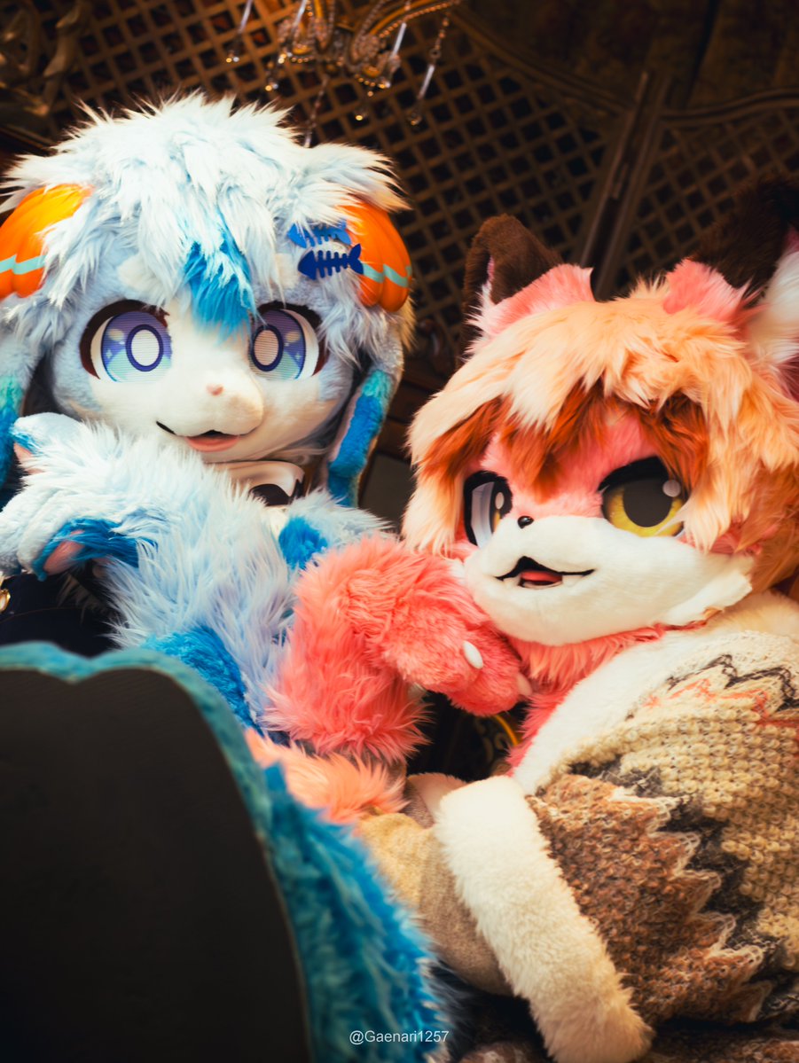 fur_Splash's tweet photo. 우리는 이쁜이들! 😋
🩷 : @Aslo_FUR 
📷 : @Gaenari1257 https://t.co/rJ2zTekUn3