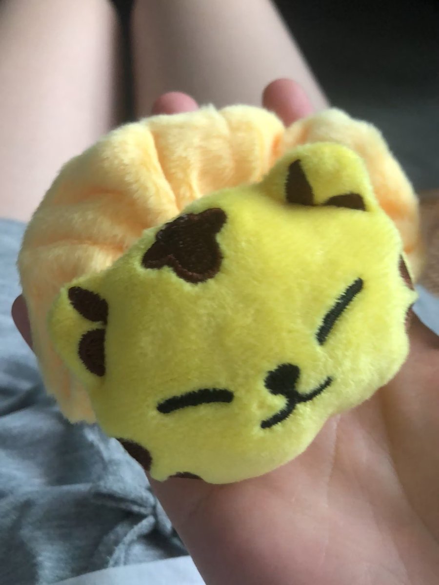siobervr's tweet photo. cutie patootie https://t.co/AG1gF0Ixa5