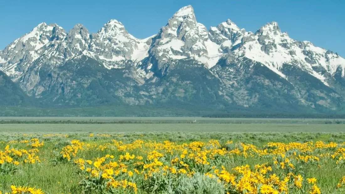 shiledude's tweet photo. @FiorellaIsabelM You should rename Grand Teton to its English translation: Great Titty! https://t.co/e5Dgsj3ojC