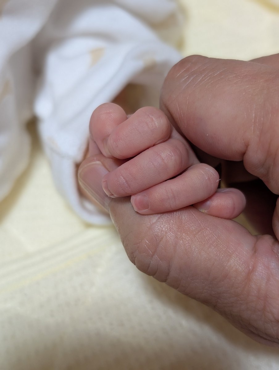 komukoronesky's tweet photo. ご報告が遅くなりましたが、べびぃすきー無事産まれました👶🏻🍼妻も元気です！
ころさんやころねすきー仲間があたたかい言葉をくれたおかげで、とても元気を貰えました！
👶🏻はいつも毛玉ちゃんとｽﾔｧしてます🐶
いつか現場で会ったらどうぞよろしくです🥳🙌
#みてくれころさん
#ころねすきー https://t.co/WpDBzU1892