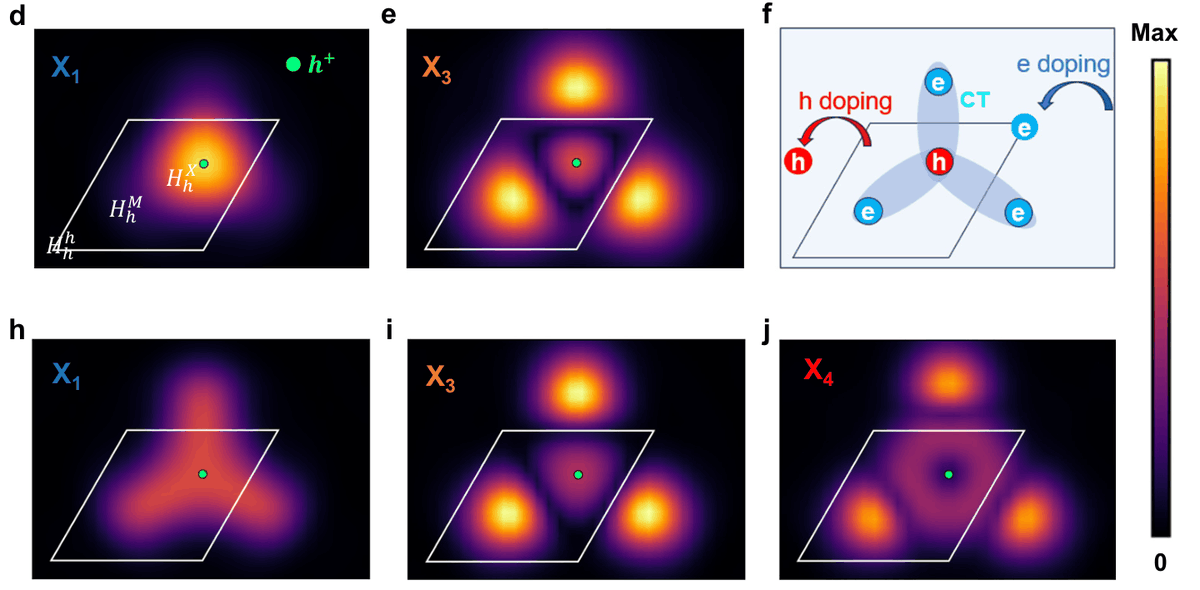 PhysRevX's tweet photo. 🌀 What happens when you squeeze a moiré superlattice? A study shows hydrostatic pressure pushes WSe₂/WS₂ moiré superlattices into a strong-moiré regime, offering a new strategy for excitonic wavefunction engineering.

Read more: https://t.co/WY2eFjdgbQ https://t.co/dBKi8pK9oW