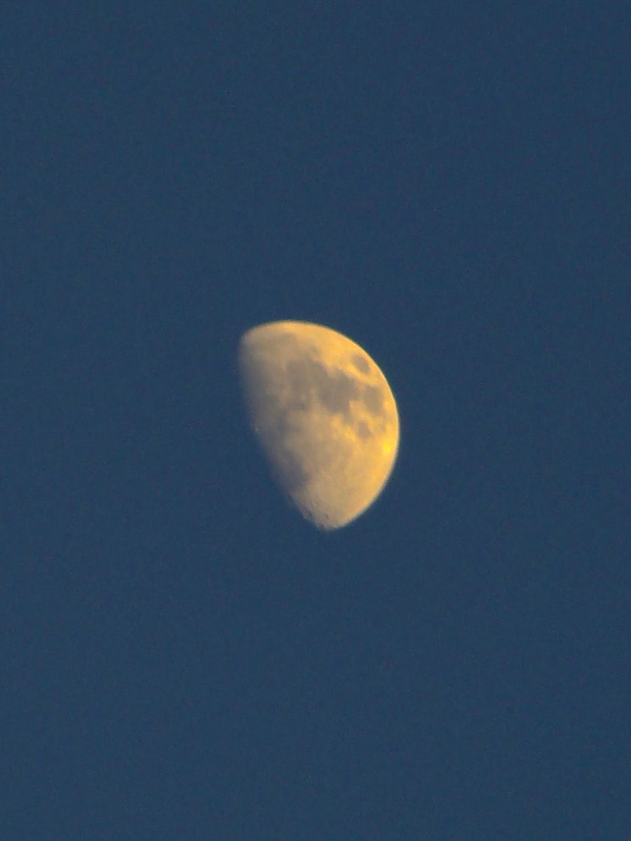 mansebanjaran's tweet photo. dear moon, https://t.co/w0p3OzqiQt