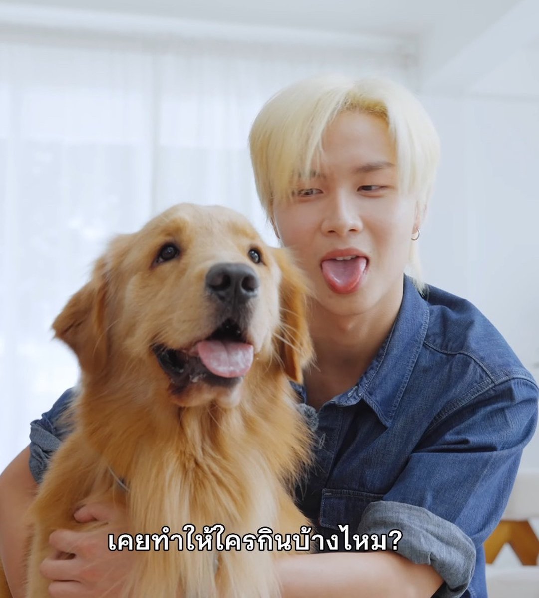 chabu_yip's tweet photo. ตัวหนายยยยยดื้อ
#JUNGT 
#หมาเลี้ยงหน่อยxJUNGT
#GlutaStoryxJUNGTBUS https://t.co/O0vJgmyUsG