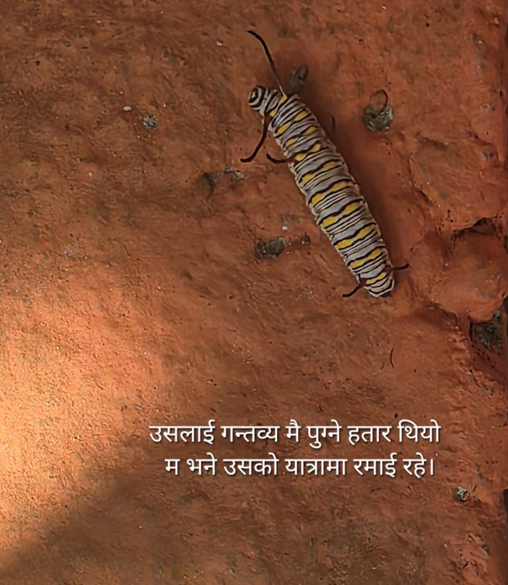 TweetPRK's tweet photo. यात्राको रमाइलो। https://t.co/z74BcCv20U