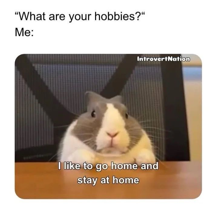 memechaotic's tweet photo. Introverts in a nutshell https://t.co/2i31EkrWcw