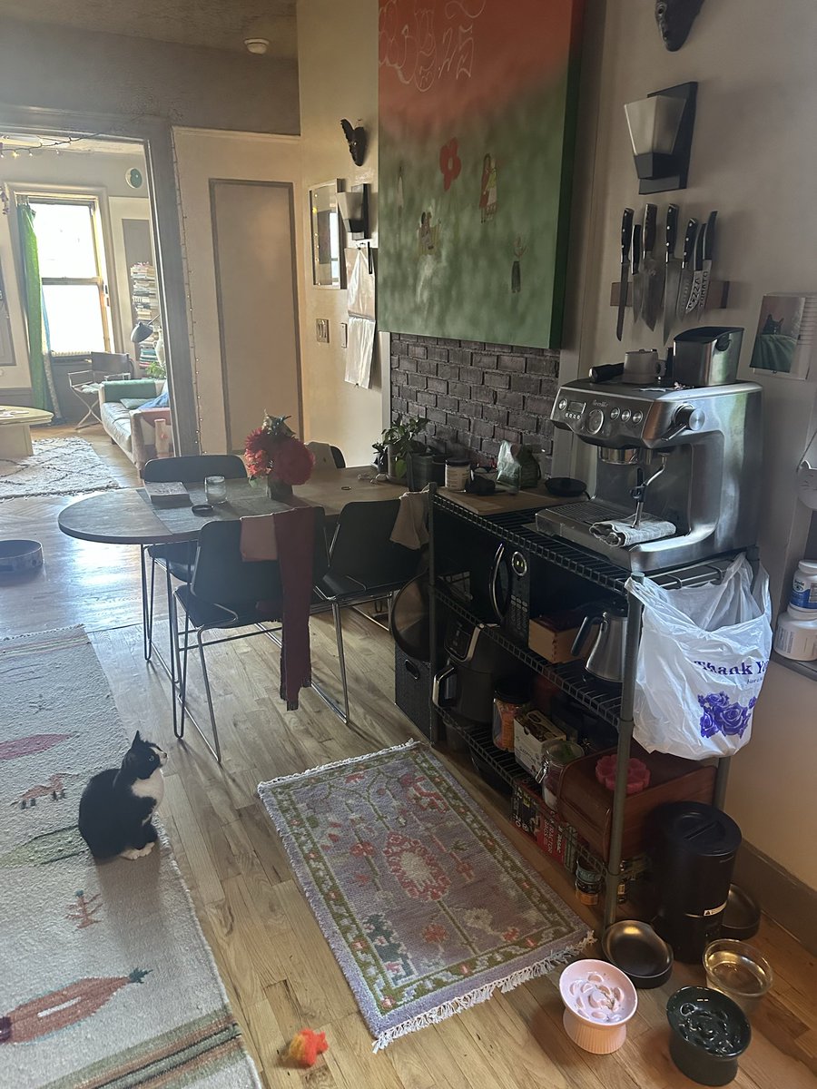 cnkerr's tweet photo. Got an espresso machine and my cat has been staring in fearful awe at it for 24 hours now. https://t.co/45AXlB9nG5