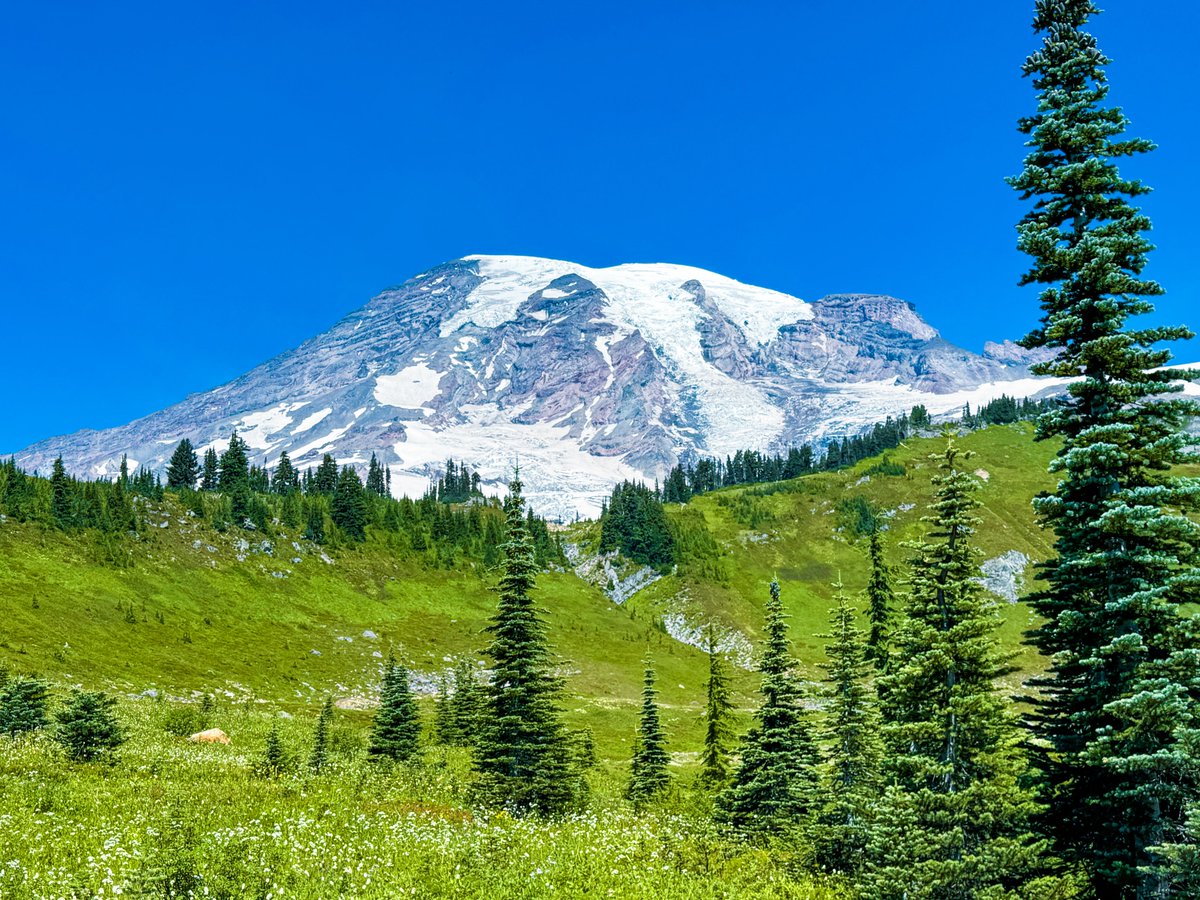 jeadoredisney's tweet photo. ❝Mount Rainier National Park❞へ🏔
チヌーク峠近くのティプスー湖から望む雄大な山容，マートル滝に架かる木橋，スカイライントレイルから見渡す高山植物の草原など，場所ごとに異なる景観が広がります🏞
タトゥーシュ連峰の険しい稜線や，オハナペコシュ周辺に広がる巨木の原生林も印象的でした🌳 https://t.co/z8fHS1kDQL