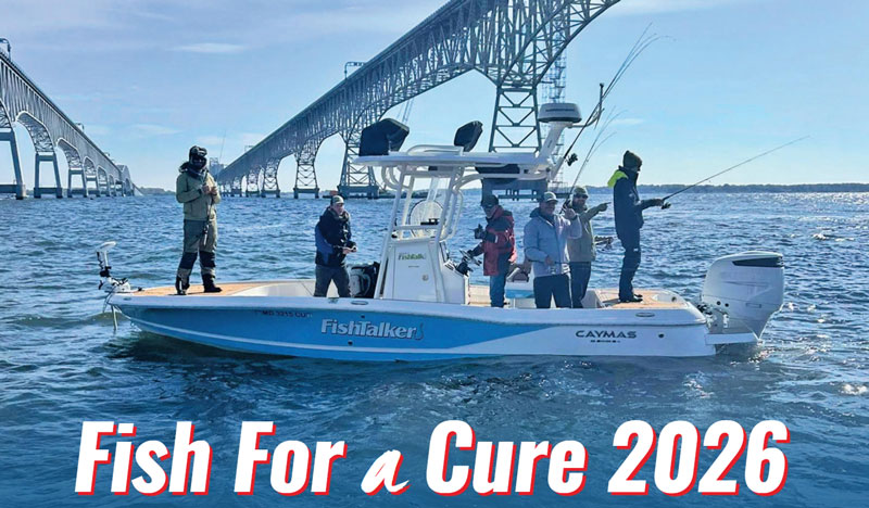 FishTalkMag's tweet photo. Pop quiz: What’s the best #fishing tournament on the entire East Coast? Hands-down, no question about it, absolutely, positively, it’s Fish For A Cure. https://t.co/6i2st5Er5u https://t.co/vkVDW46Fg8