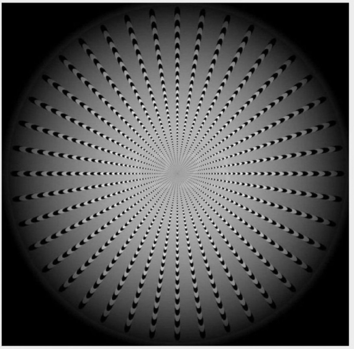 Elonyius's tweet photo. No one has found the number in the box so far

What number do you see?

LEVEL- VERY HARD

WINNER takes $800
ends in 24 hours https://t.co/WkwtRsFRRv