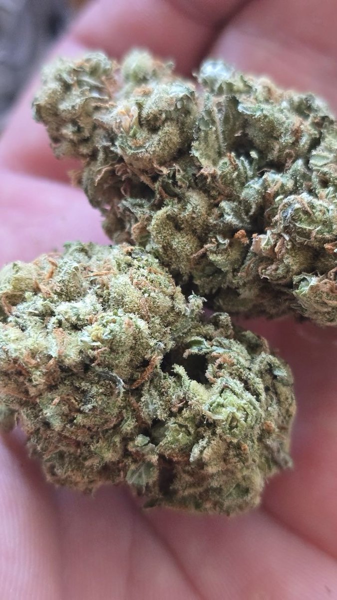 budpuffbox11021's tweet photo. 🍋WEED LEMON🍋

LOWEST PRICE 🚀 https://t.co/5ICjVHH2g4