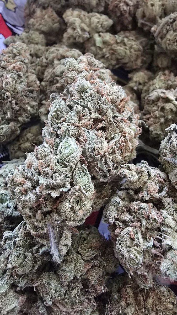 budpuffbox11021's tweet photo. 🍋WEED LEMON🍋

LOWEST PRICE 🚀 https://t.co/5ICjVHH2g4