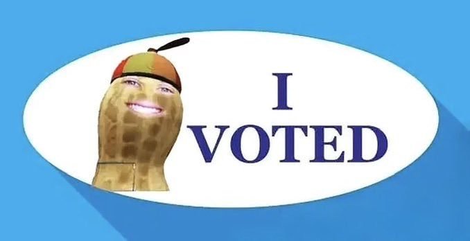 DaSmokingCactus tweet picture