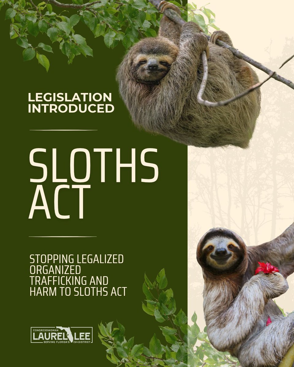 A campaign-style poster about legislation to protect sloths, featuring two sloths among leafy branches against a dark green and cream background. Text is prominently displayed, with a congressional representative’s logo near the bottom.