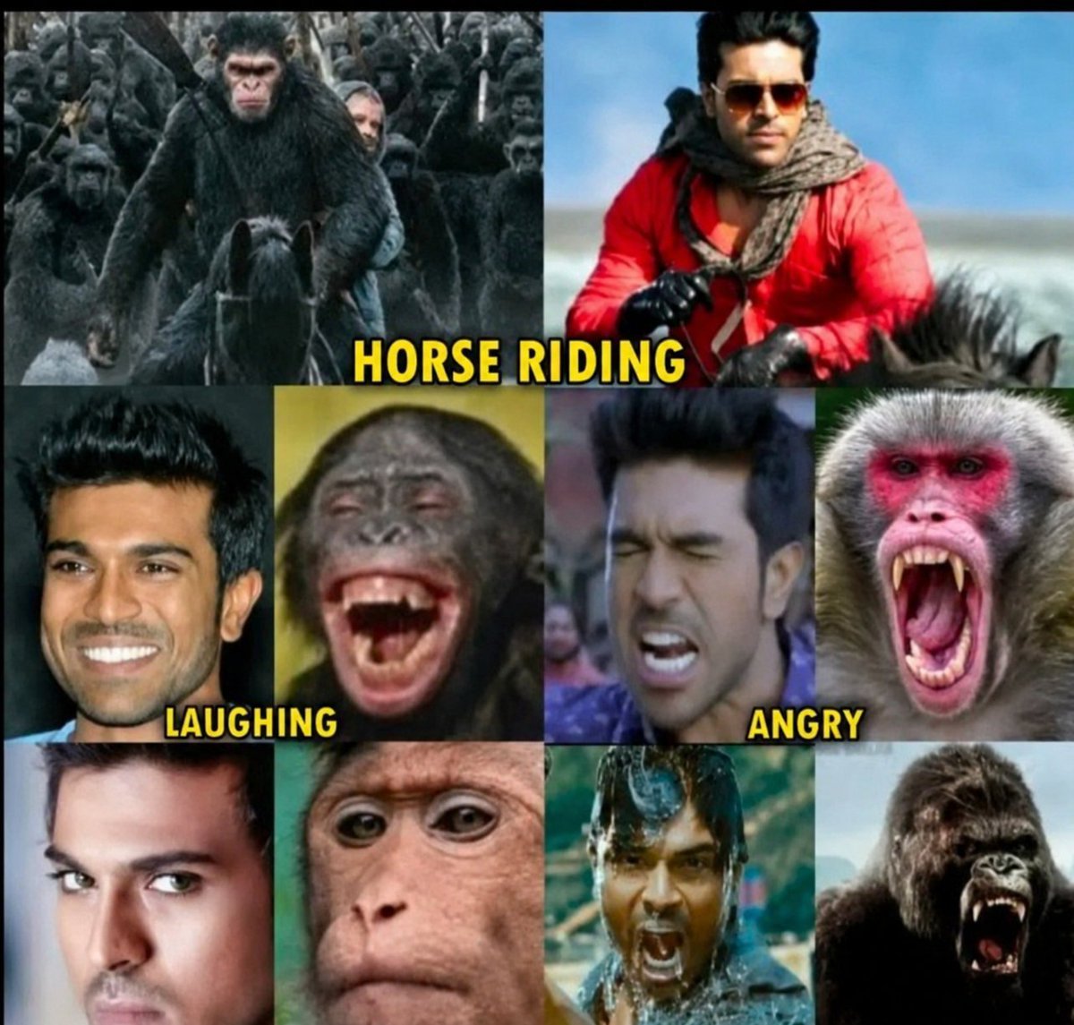 Vissampall28057's tweet photo. Asalu Evadra veedu 😅 
  Horse riding 🐎
  Laughing chimpanji 😆
 Monkey 🐒 

 All rounder performer 🦧🐨
@AlwaysRamCharan 😭 https://t.co/369Kf70BpG