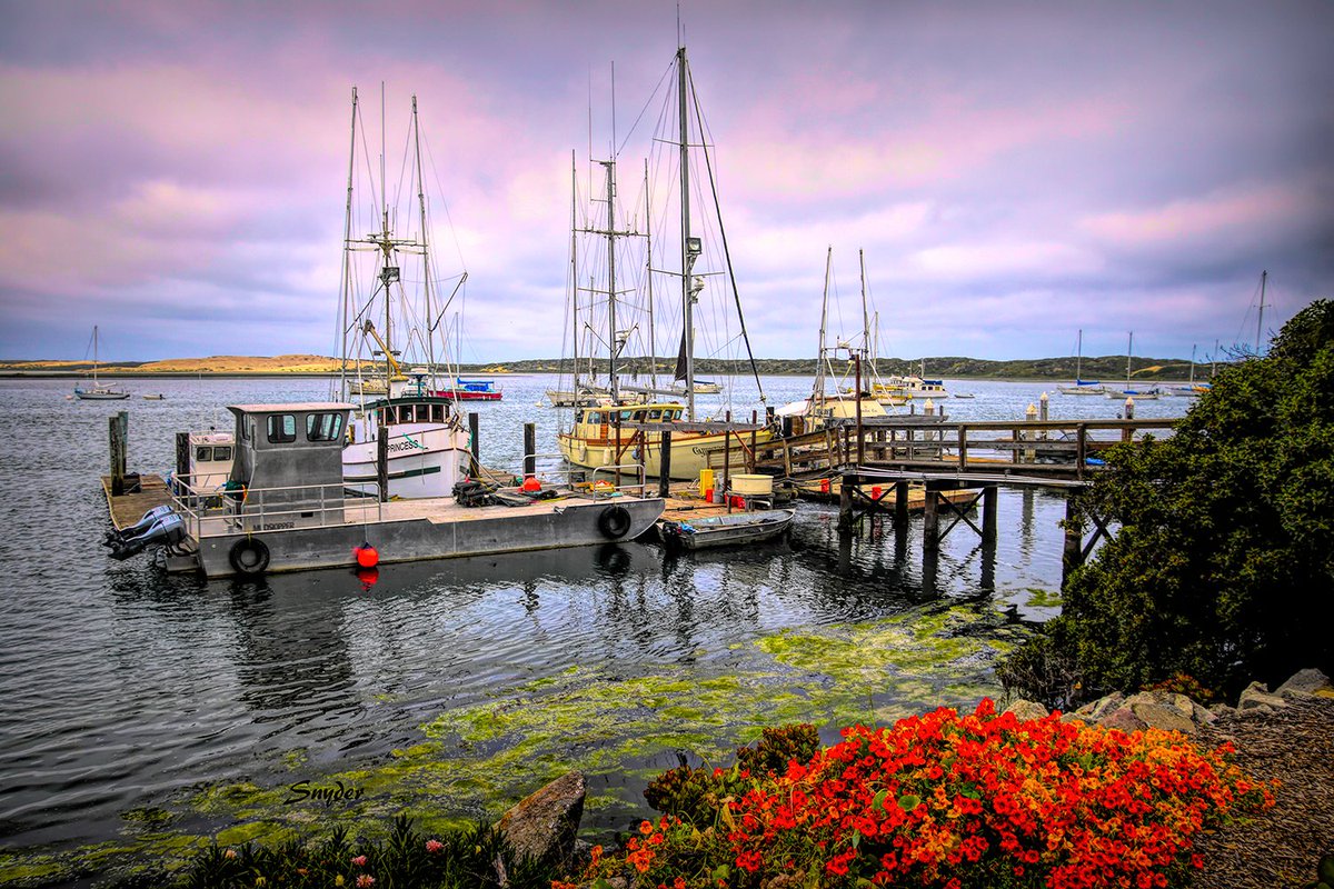 FloydSnyder9's tweet photo. 😍 South Bay Working Dock Morro Bay by Floyd Snyder 😍 https://t.co/2ikTykhaOp 😍 Fine Art Reproductions to the world since 1971! Enjoy! 😍 #eBay #BuyIntoArt #MorroBay #CoastalArt #HarborScene #BoatLife #OceanView #Seascape #Decor #Original #Photography https://t.co/cufiKh0WNs