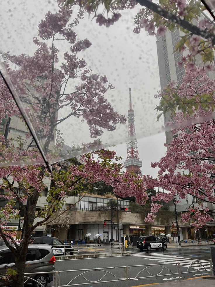 echoesofworld's tweet photo. Tokyo, Japan https://t.co/iLIUT8MNUq