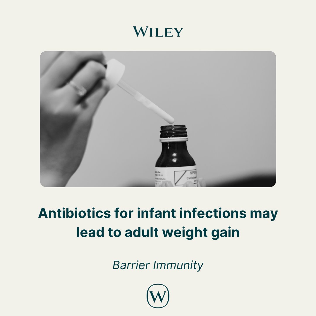 WileyHealth's tweet photo. Could early #Antibiotics determine your weight in adulthood?

Scientists found that mice given antibiotics early in life developed #GutMicrobiome harm, revealing a new immunological link to #Obesity. @WanjunChen2026 @LiXiaokang56689 

👉Read:  https://t.co/ZoCKeZyejb https://t.co/6wXs8UuamI