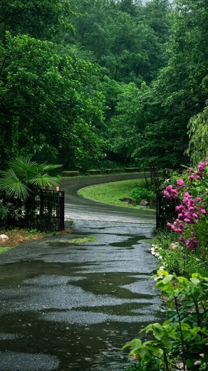 natureaest tweet picture