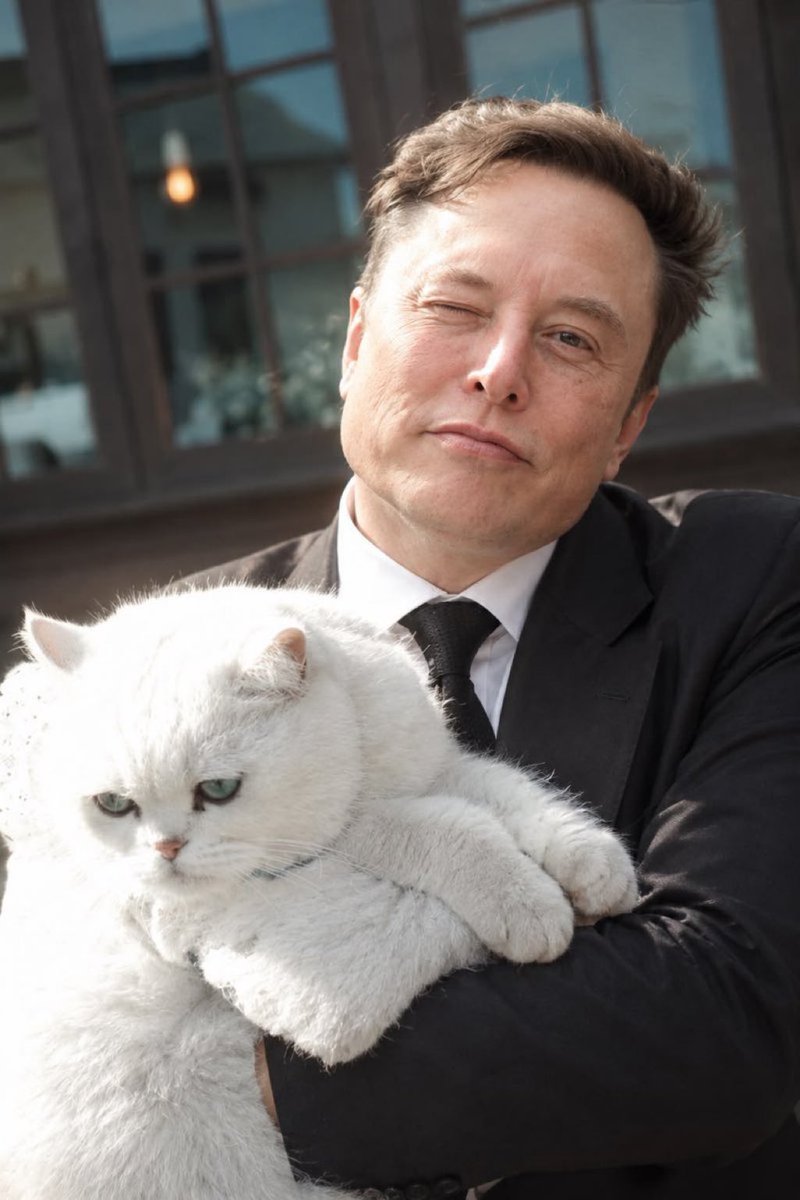 ElonInnovapop4's tweet photo. Be sincere Don’t Skip ;
Do you Love Cats 🐈?
A._Yes.
B._Not really . https://t.co/7NoZjlzjQu